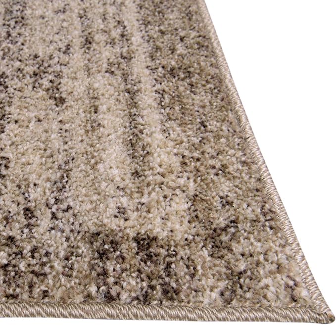Rugs.com Angelica Collection Rug – 6 Ft Runner Beige Medium Rug Perfect for Hallways, Entryways