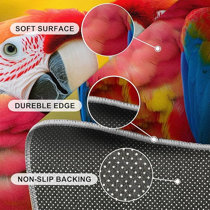 Parrot Rugs for Bedroom - 3x5 Area Rug - Cute Parrot Rugs for Living Room, Colorful 3D Animal Rug, Non-Slip Washable Home Decor Carpet