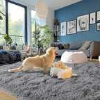 Dark Gray Fluffy Rug Plush Carpet for Bedroom Dorm, Non-Slip High Pile Rug, Shag Rug for Playroom Nursery Home Office Decor 8X10 Ft