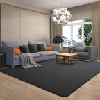 AROGAN Modern Shag Area Rug for Living Room, 6x9 Feet Washable Rugs for Bedroom, Indoor Floor Carpet, Plush Memory Foam Bedside Rugs for Kids Girls Teens Low Pile Decor, Dark Grey