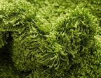 Unique Loom Solid Shag Collection Area Rug (2' 6" x 16' 5" Runner, Grass Green)