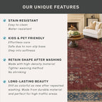Oriental 8x10 Large Area Rugs for Living Room - Burgundy Rug for Bedroom Under Bed, Dining Room Under Kitchen Table, Washable Soft Non Slip Unique Indoor Décor