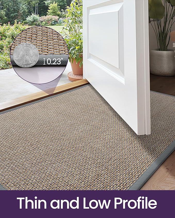 DEXI Ultra Thin Entryway Indoor Door Mat 32x48, Non Slip Rubber Backing Inside Entry Mat, Low Profile Easy Clean Dirt Trapper Doormat for Inside Entrance Patio, Grey