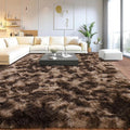 Upgrade Non-Slip Plush Rugs for Living Room, Soft Shaggy Carpets for Living Room, Fuzzy Rugs for Kids' Room, Perfect Decor for Modern Home Tie Dye Coffee 5x7Feet