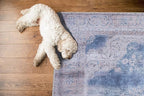 GLN Rugs Traditional Collection - Machine Washable Area Rug, Traditional Washable, Non Slip, Low Pile Chenille Rug, Living Room, Bedroom, Kitchen Rug (6' x 9' Cream/Navy)