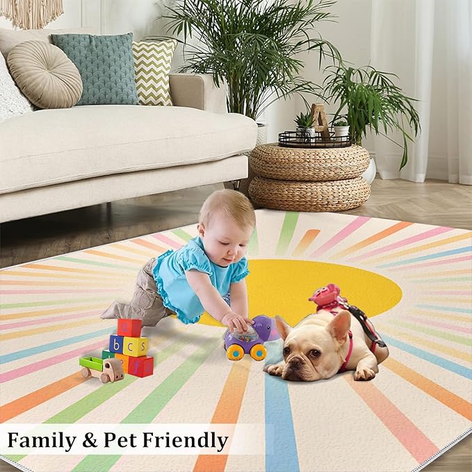 Boho Sun Area Rugs 4x6ft, Minimalist Sunburst Carpet for Bedroom, Abstraction Deco Rug for Living Room Easy to Clean for Indoor Outdoor Hardwood Floors Home Decor