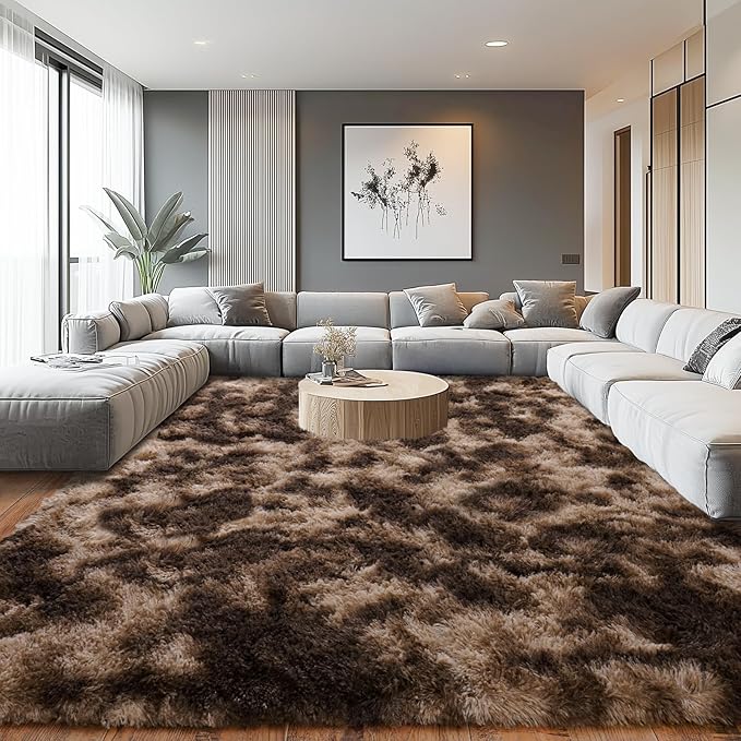 Upgrade Non-Slip Plush Rugs for Living Room, Soft Shaggy Carpets for Living Room, Fuzzy Rugs for Kids' Room, Perfect Decor for Modern Home Tie Dye Coffee 5x7Feet