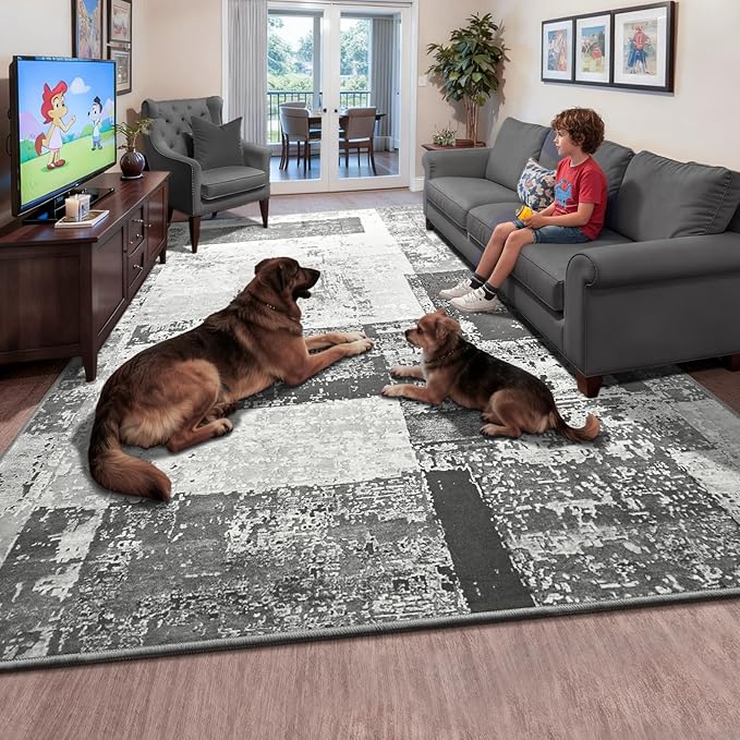 LOCHAS Rug for Living Room, Washable Soft Area Rugs for Bedroom 4x6, Abstract Carpet for Indoor Office Kids Dining Room Nursery Floor, Grey Geometric Vintage Home Decor, Non Slip, Pet Child Friendly