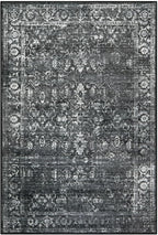 Lahome Washable Black 4x6 Area Rugs for Living Room Bedroom, Boho Vintage Non Slip Stain Resistant Floor Dining Room Carpet for Office Entrance Decor