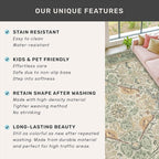 Washable Floral Bird Rugs for Living Room - Sage Green 8x10 Area Rugs for Bedroom Under Bed, Dining Room Kitchen Table Rug for Under Table, Nature Botanical Decor, Stain Resistant Non-Slip