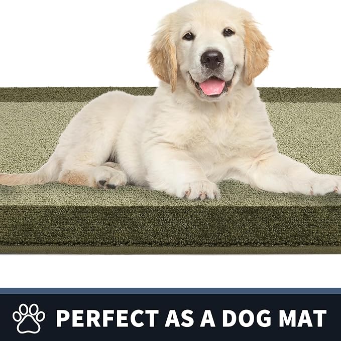PURRUGS Dirt Trapping Door Mat 24" x 84", Non-Slip/Skid Machine Washable Entryway Rug, Shoes Scraper, Throw Rug, Super Absorbent Area Rug for Muddy Wet Shoes and Paws, Budding Green & Sage Green