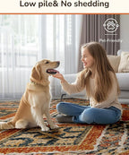 Area Rug 8x10 Rug Machine Washable Non-Slip Low Pile Print Pattern Western Rug Fall for Living Room Bedroom Entryway Tribal Series -Orange/Brown