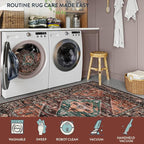 Lahome Area Rugs 5x7 for Living Room - Washable Non-Slip Ultra-Thin Bedroom Carpet, Non-Shedding Oriental Vintage Distressed Carpet Rug for Dining Room Office