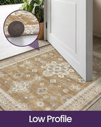 DEXI Area Rugs for Entryway 2'8"x4', Washable Low Pile Vintage Traditional Entry Rug Non Slip, Indoor Door Mat for Bedroom Kitchen Entrance Hallway, Light Brown