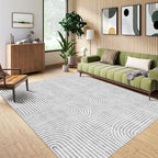 Washable Area Rug 5x7 - Boho Living Room Rug Soft Bedroom Rug Ultra-Thin Grey Modern Abstract Rainbow Dining Room Rugs Indoor Carpet for Living Room Nursery Room