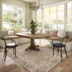 Washable Area Rugs 5'x7' Non-Slip Vintage Boho Distressed Fade Resistant Low Pile Carpet for High-Traffic Living Room, Bedroom & Dining Room