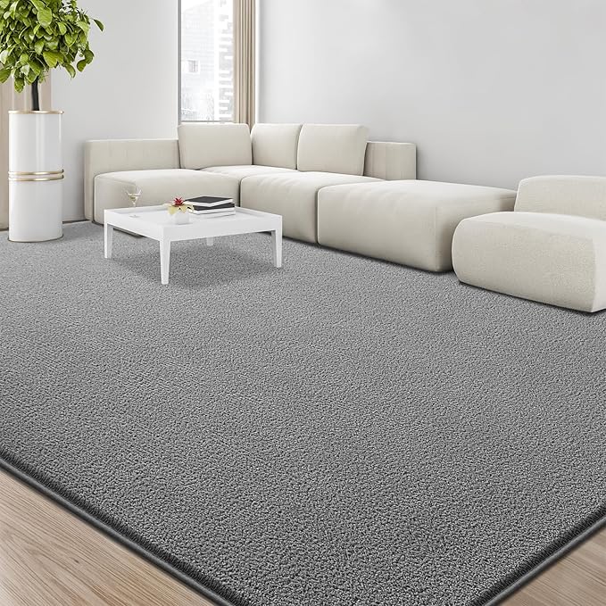Large Area Rugs for Living Room Bedroom, 4x6 Feet Grey Rug, Minimalist Modern Shag Rug, Soft Thick Comfy Memory Foam Indoor Carpet, Non-Slip Washable Rug for Boys Girls Dorm Nursery Room Home Decor