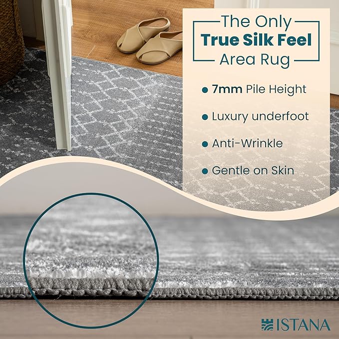 Istana Living Room Rug 10x14 - Dark Grey 10 x 14 Area Rug - Foldable Machine Washable Area Rugs 10x14 - Stylish 10x14 Area Rugs Boho - Stain Resistant Washable Rug 10x14