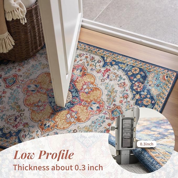 tchdio 2x3 Entryway Rug, Non Slip Front Door Mat Small Washable Rugs, Soft Low Pile Small Area Rug Vintage Doormat, Stain Resistant Rug for Entrance, Kitchen (Multi, 2'x3')