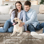 Abstract 9x12 Area Rugs: Modern Washable Rug for Living Room Bedroom Dining Room Indoor - Thin Low Pile Non-Slip Large Carpet - Beige Brown