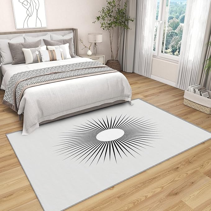 Mid Century Rugs for Living Room -Minimalist Sun Rug, 3x4 ft, Black and White Area Rugs for Bedroom, Modern Abstract Washable Carpet for Entryway, Kitchen, Optical Illusion Home Decor & Gifts