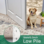 LUMI Washable Area Rug for Living Room, 5x8 Ultra Soft Traditional Rugs Non Slip with Rubber Backing, Low Profile, High Traffic, Stain Resistant Carpets, Ideal for Bedroom, Dining Room, Indoor