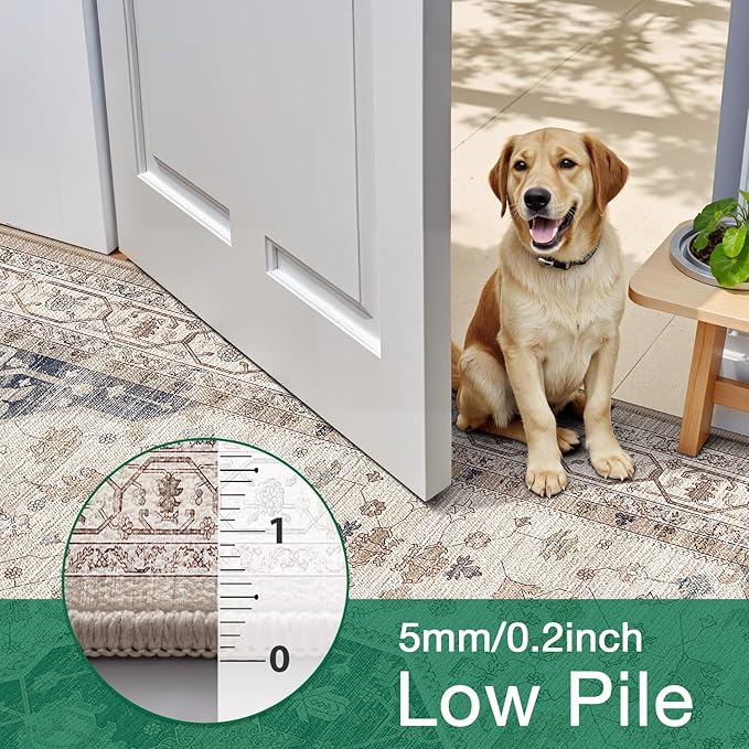 LUMI 10x14 Washable Area Rug for Living Room, Ultra Soft Traditional Rugs Non Slip with Rubber Backing, Low Profile, High Traffic, Stain Resistant Carpets, Ideal for Bedroom, Dining Room, Indoor