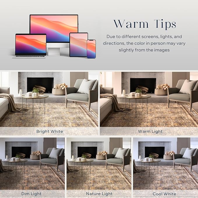 Phantoscope Washable Area Rug 6'x9' Non-Slip, Vintage Neutral Rugs for Living Room, Bedroom, Dining Room, Distressed Boho Floral Medallion Pattern, Low-Pile Foldable Carpet, Brown/Charcoal Spice