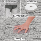 Beglad Fluffy Large Area Rugs 6x9 Feet, Modern Minimalist Style Shag Fuzzy Rugs, Non-Slip Indoor Carpet Soft Rugs for Kids Room, Bedroom & Living Room, Grey