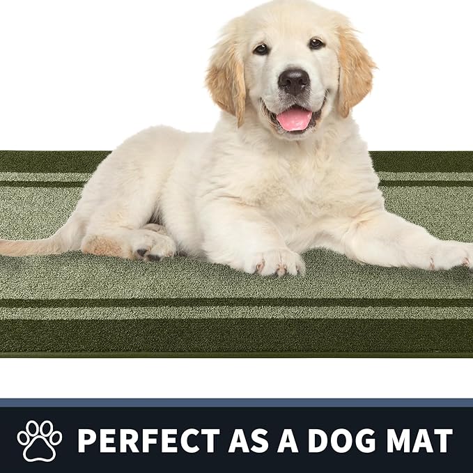 PURRUGS Dirt Trapping Door Mat 24" x 36", Non-Slip/Skid Machine Washable Entryway Rug, Shoes Scraper, Area Rug, Super Absorbent Welcome Mat for Muddy Wet Shoes and Paws, Budding Green & Sage Green