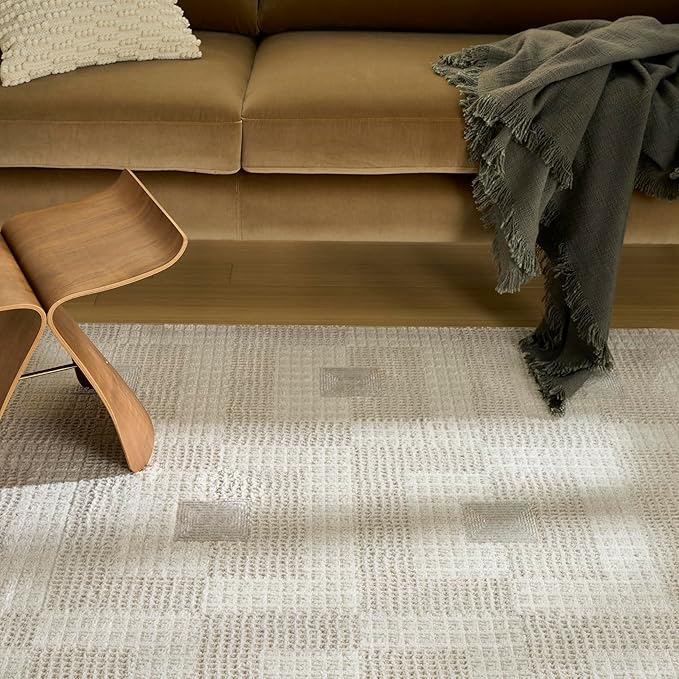Nourison Nordic Ivory Beige 8' x 10' Scandinavian Area Rug - Easy Cleaning, Non Shedding, Bed Room, Living Room, Dining Room, Kitchen (8' x 10')