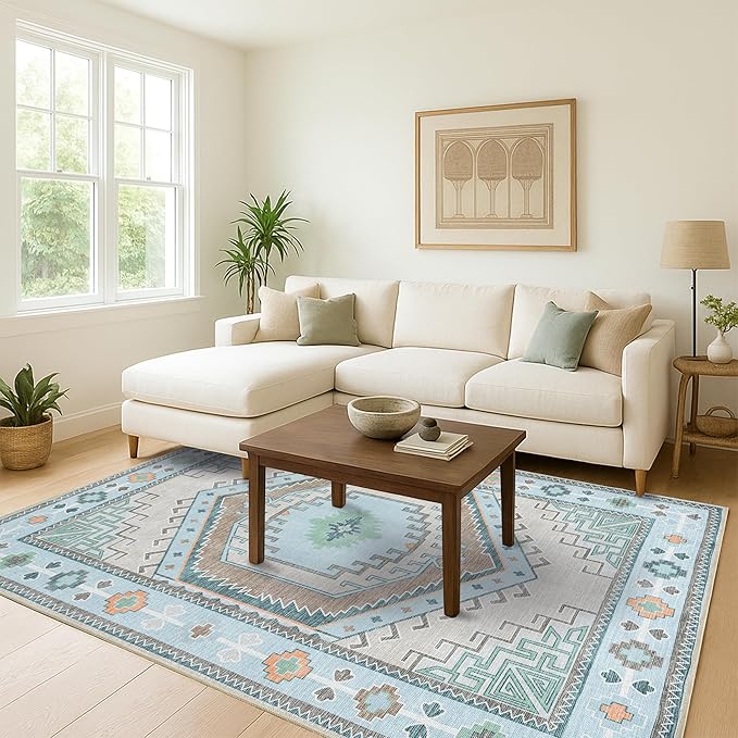 Fame Living Washable Area Rug. Modern Farmhouse. Vintage. Turkish. Bohemian. Distressed. Oriental. Traditional. Rugs for Living Room. Dining. Bedroom. Office. Entryway. Foyer. (856GG, 2'5" x 4'9")