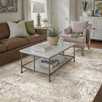 Beige Area Rug 4x6 Machine Washable Modern Abstract Office Carpet Neutral Non Slip Indoor Entry Low Pile Soft Non Shedding Small Mat Bedroom Throw Rug for Kitchen Laundry Dining Room
