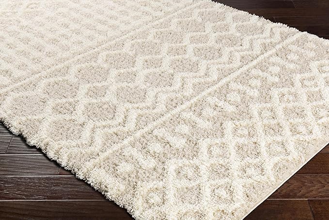 Livabliss Hapsburg Moroccan Shag Runner Area Rug,2'7" x 10',Beige