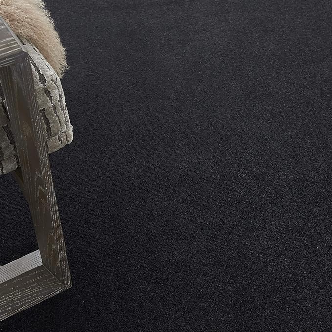 Nourison Home Nourison Essentials Black 9' x 12' Area Rug - Easy Clean, Non Shedding, Bed Room, Living Room, Dining Room, Kitchen (9' x 12')