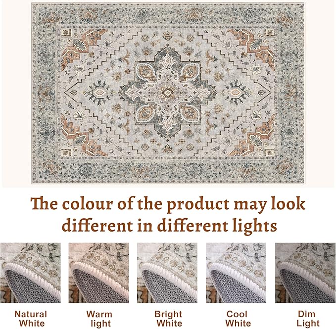 Tangsoo 4x6 Area Rug for Living Room, Washable Vintage Indoor, Distressed Grey Carpet for Bedroom, Non Slip Dining Room Rugs, Soft Low Pile Rugs Foldable Floor Rug for Dorm Bedside Bathroom