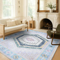 Fame Living Washable Area Rug. Modern Farmhouse. Vintage. Turkish. Bohemian. Distressed. Oriental. Traditional. Rugs for Living Room. Dining. Bedroom. Office. Entryway. Foyer. (856PBl, 5' x 6'9")