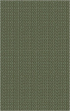IOHOUZE Small Area Rug 2x3 Washable Woven Rugs for Entryway Non Slip Rubber Backed Front Door Rugs Indoor Doormat Throw Rug Floor Carpet for Entrance Kitchen, Olive Green/Dusty Green