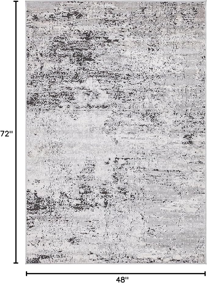 Rugs.com Leipzig Collection Area Rug – 4X6 Grey Low-Pile Rug Perfect for Entryways, Kitchens, Breakfast Nooks, Accent Pieces