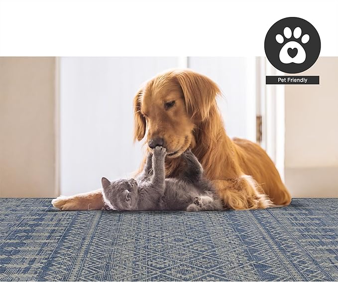 FH Home Flat Woven Outdoor Rug - Waterproof, Easy to Clean, Stain resistant - Premium Polypropylene Yarn - Boho Moroccan - Patio, Deck, Porch, Balcony, Laundry Room - Dakar - Blue - 3ft 11in x 5ft 6in