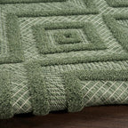 Nourison Home Versatile Green 8' x 10' Area Rug - Easy Clean, Non Shedding, Bed Room, Living Room, Dining Room, Kitchen (8' x 10')