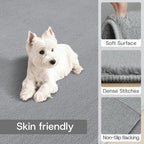 Solid Washable Area Rug - 3x5 Medium Pile Faux Cashmere Carpet for Living Room Bedroom, Grey