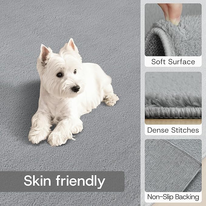 Solid Washable Area Rug - 6x9 Medium Pile Faux Cashmere Carpet for Living Room Bedroom, Grey