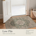 Area Rug Non Slip Machine Washable Ultra Soft Living Room/Bedroom/Kitchen/Outdoor/Classroom Celadon, 8'×10'