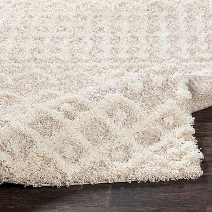Livabliss Hapsburg Moroccan Shag Runner Area Rug,2'7" x 14',Beige