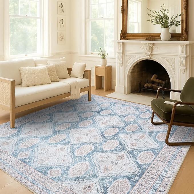 Washable Area Rug, Modern Farmhouse, Vintage, Turkish, Bohemian, Distressed, Oriental, Traditional, Rugs for Living Room, Dining, Bedroom, Office, Entryway, Foyer, (852CB, 2' x 3')