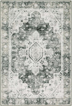 Moynesa Ultra-Thin Washable Area Rug - 2x3 Small Grey Front Door Rug Kitchen Mat, Non Slip Non Shedding Pet Friendly Bathroom Carpet for Office Laundry Powder Room Bedside Hardwood Floor
