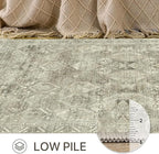 Bavni Runner Rug 2x10, Low Pile Machine Washable Rugs for Hallways, Kitchen, Bedroom, Non Slip Aesthetic Vintage Distressed Print Lightweight Durable Chenille 2x10 Mat, Forgotten Sandstone