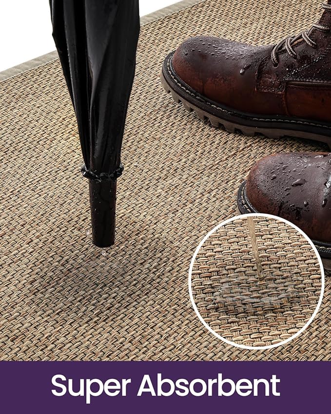 DEXI Ultra Thin Entryway Door Mat 17x30, Non Slip Rubber Backing Inside Entry Mat, Low Profile Easy Clean Dirt Trapper Doormat for Inside Entrance Patio, Beige
