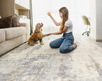 5x7 Area Rug Living Room Rugs - Washable Neutral Modern Abstract Soft Thin Rug Indoor Floor No Slip Rug Carpet for Bedroom Under Dining Table Home Office Decor - Light Brown/Gray